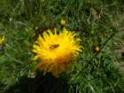 montezermula66_small.jpg
