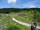 montezermula77_small.jpg