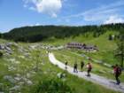 montezermula78_small.jpg