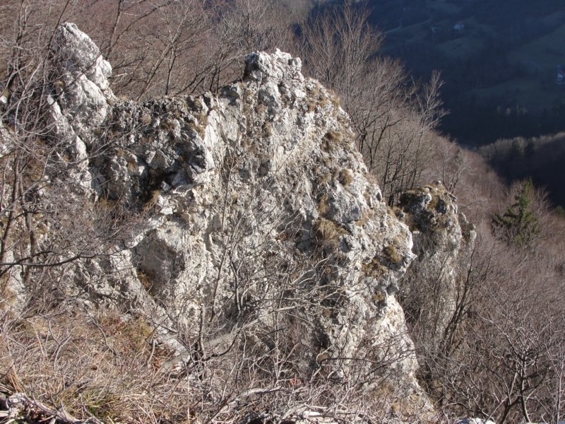 mrzlica85.jpg