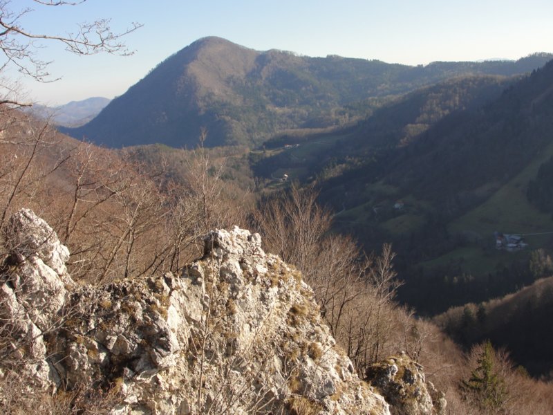mrzlica86.jpg