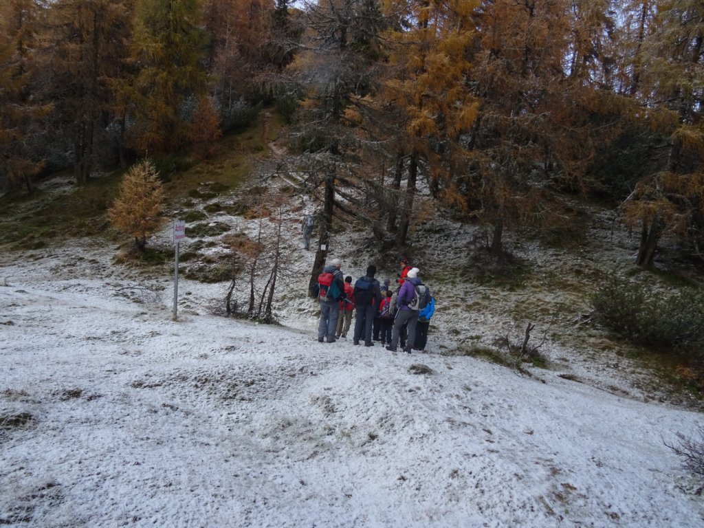 malokopoldne37.jpg