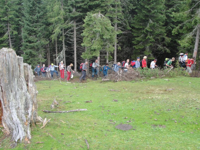 ojstrnik009.jpg