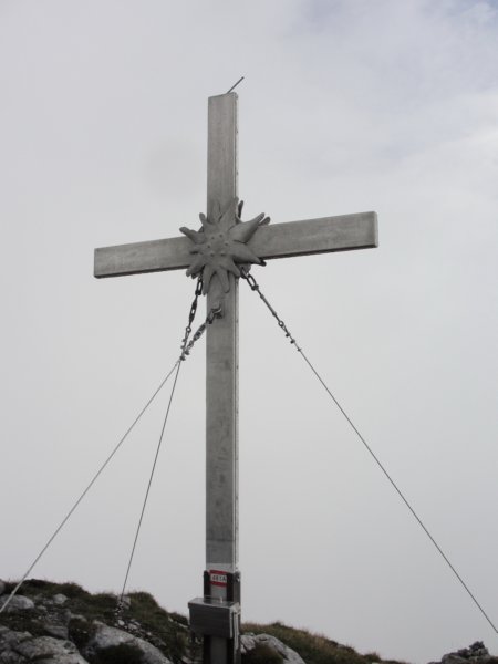 ojstrnik040.jpg