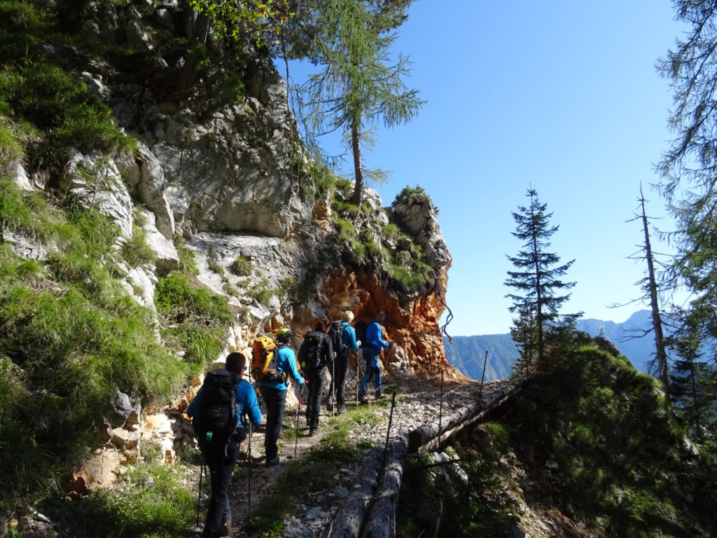 vrtakivrh49.jpg