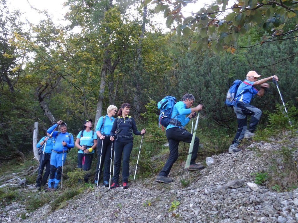 vrtakivrh7.jpg