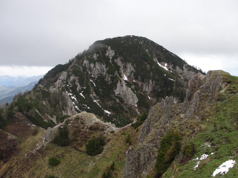 oleva38.jpg