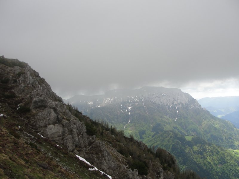 oleva52.jpg