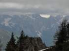 oleva55_small.jpg