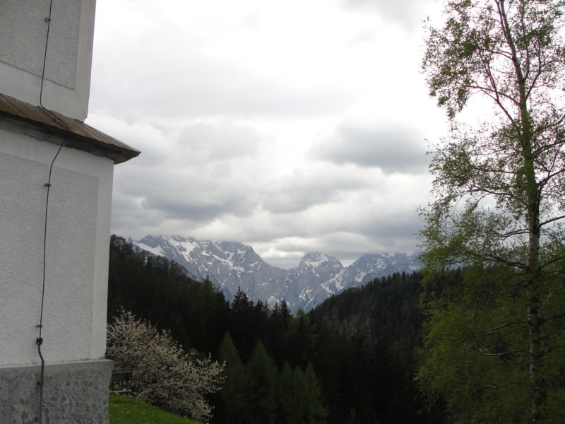 oleva77.jpg
