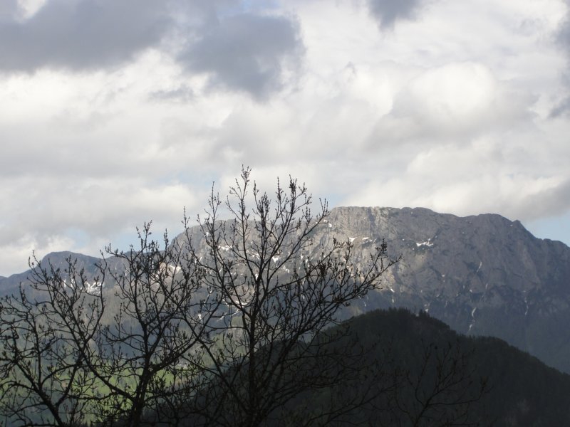 oleva82.jpg