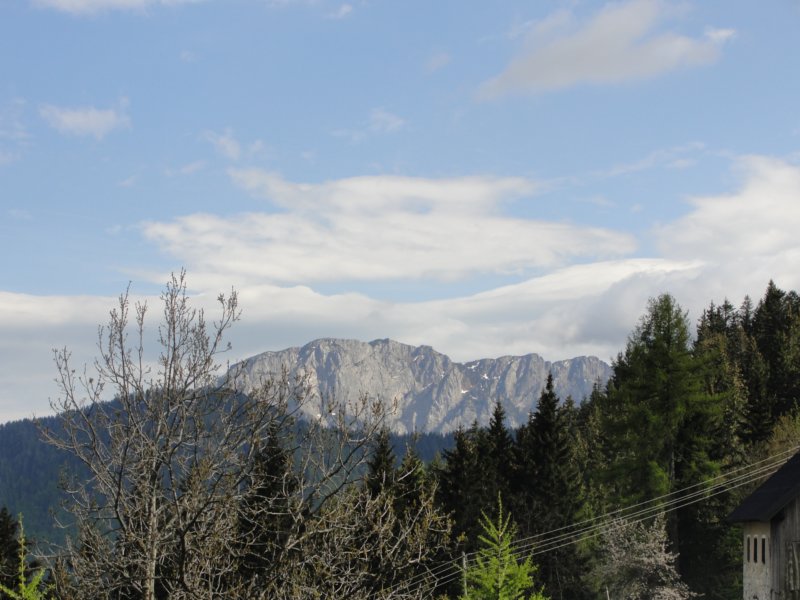 oleva83.jpg
