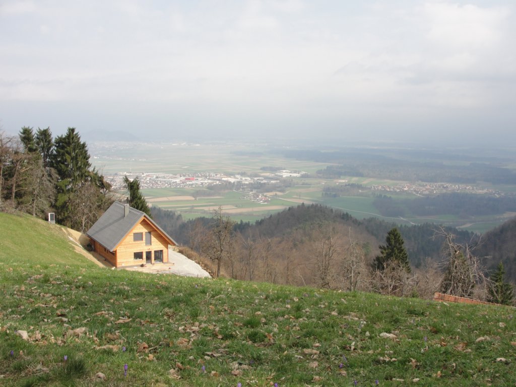 osolnik29.jpg