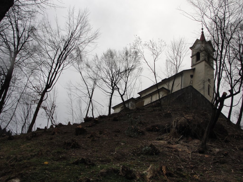 osolnik3.jpg