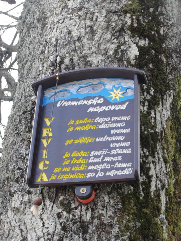 osolnik32.jpg