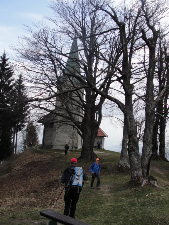 osolnik33.jpg