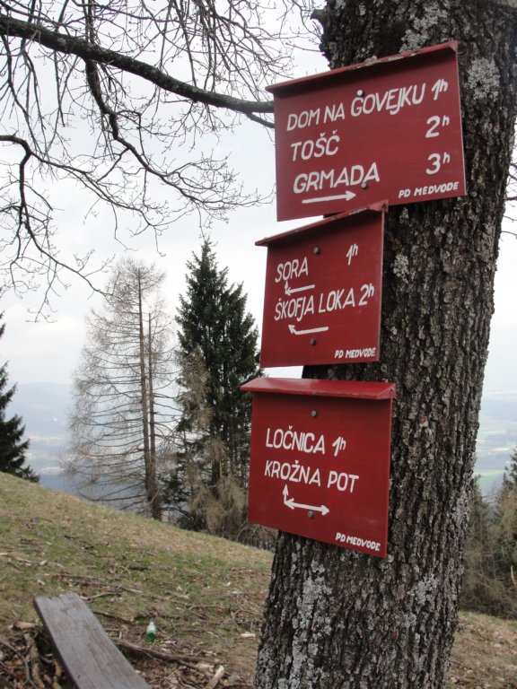 osolnik36.jpg