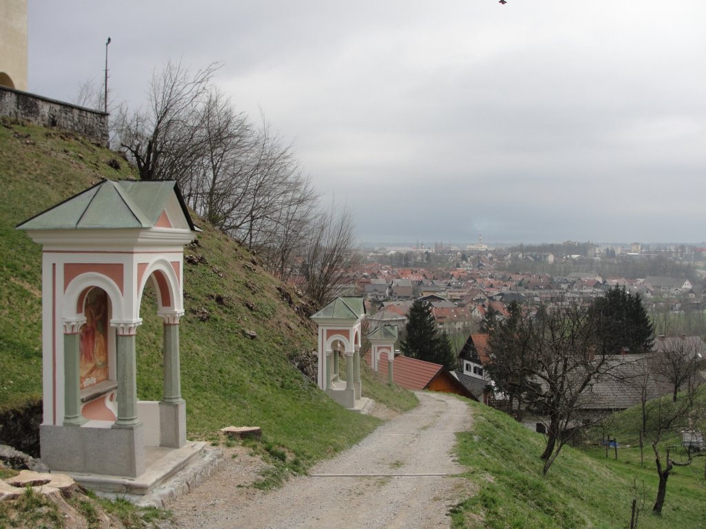 osolnik8.jpg