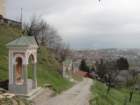 osolnik8_small.jpg