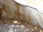 osorica30_small.jpg