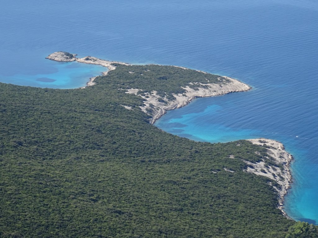 osorica35.jpg