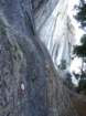 osorica51_small.jpg