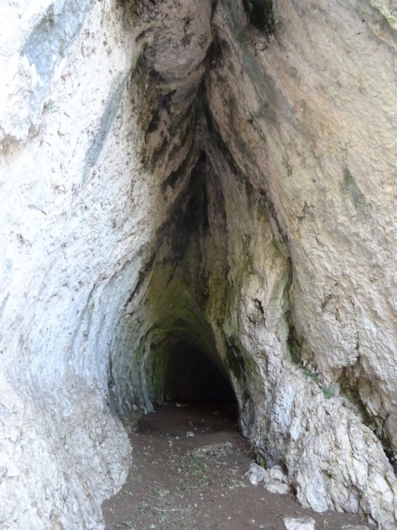osorica57.jpg