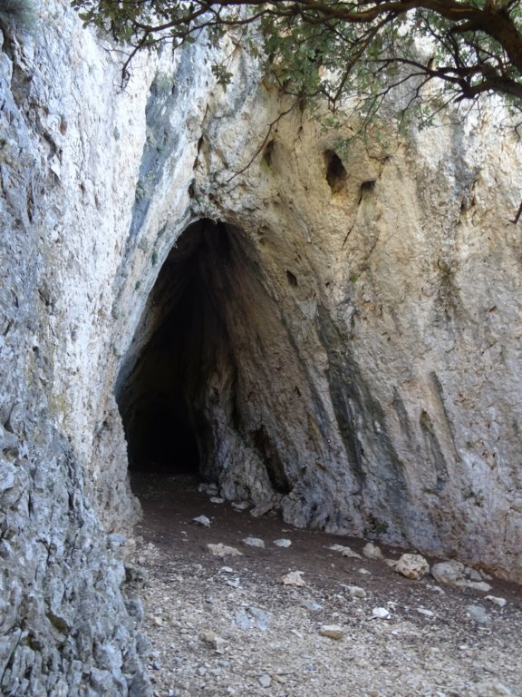 osorica59.jpg