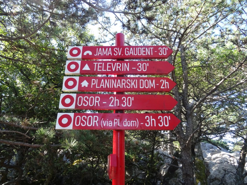 osorica7.jpg
