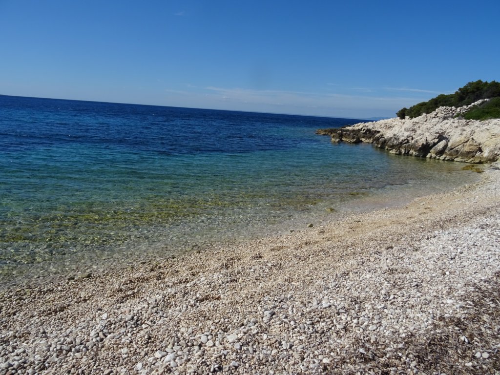 osorica71.jpg