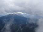 peca202044_small.jpg