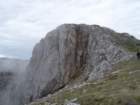 peca202047_small.jpg