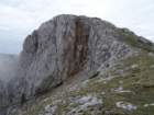 peca202049_small.jpg
