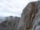 peca202056_small.jpg