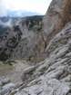 peca202058_small.jpg