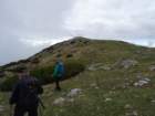 peca202066_small.jpg