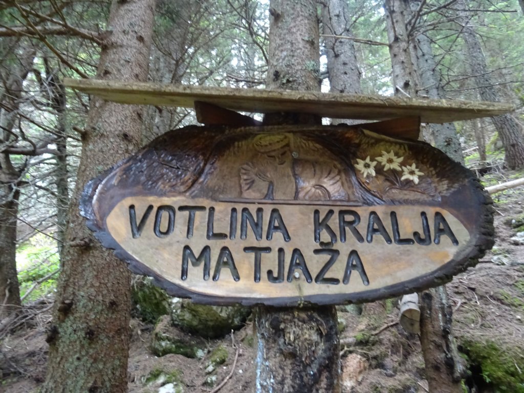 peca202073.jpg