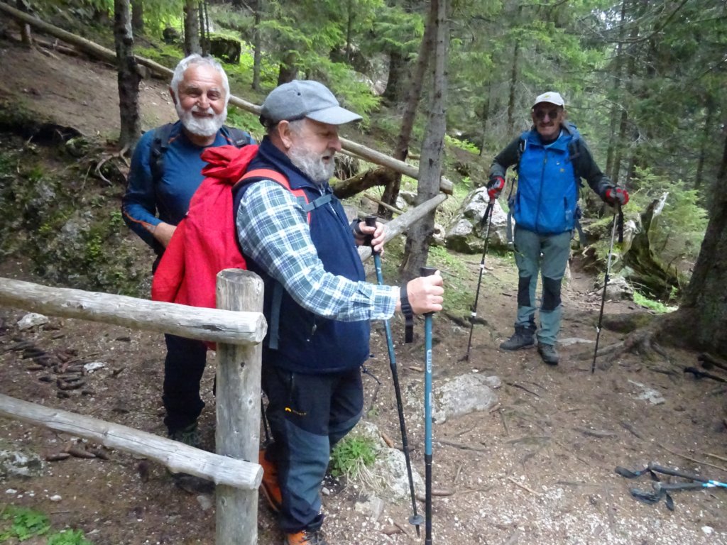 peca202080.jpg