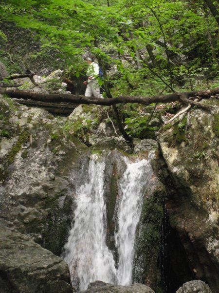 pekel16.jpg