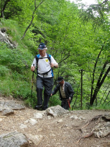 pekel22.jpg