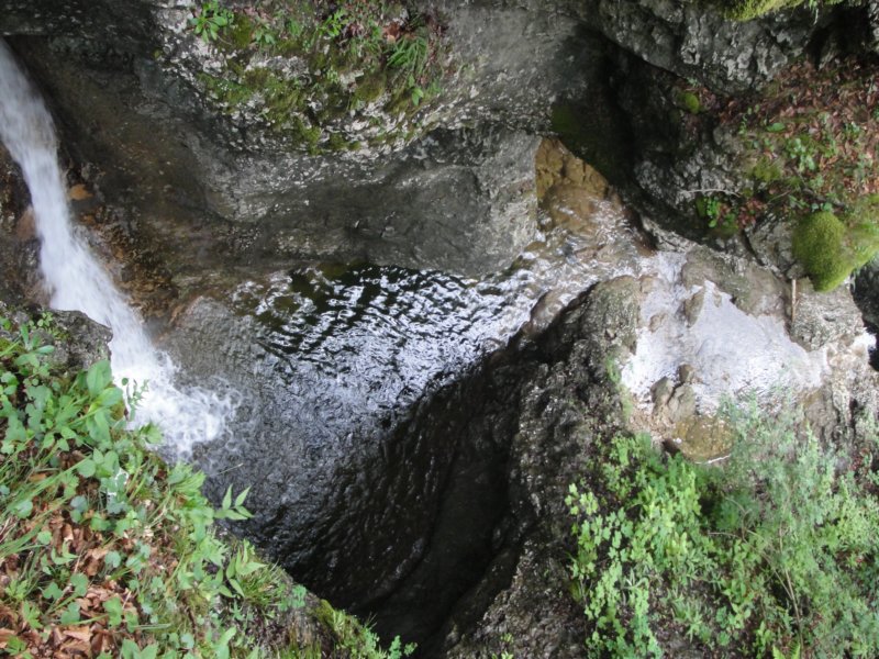 pekel63.jpg
