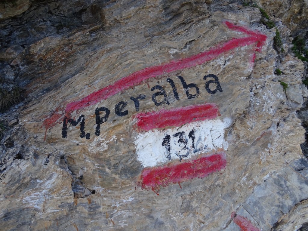 peralbainchiadenis116.jpg