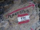 peralbainchiadenis116_small.jpg
