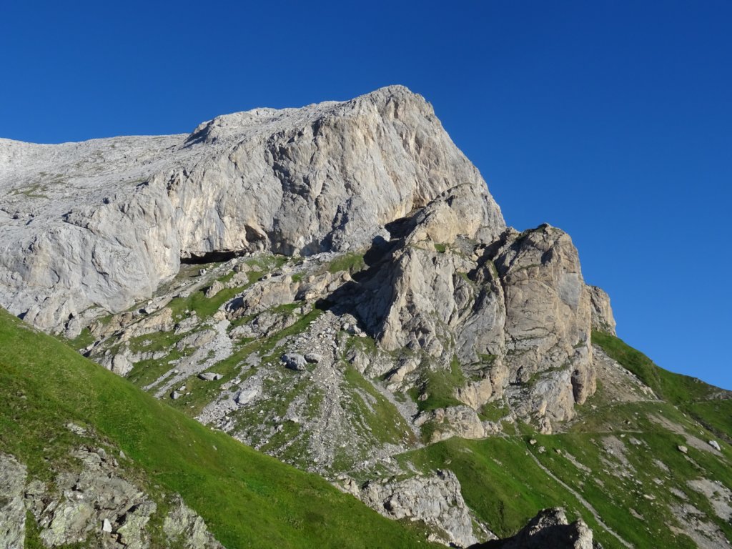 peralbainchiadenis19.jpg