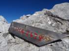 peralbainchiadenis43_small.jpg