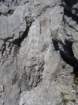 peralbainchiadenis80_small.jpg
