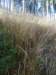 petromeja48_small.jpg