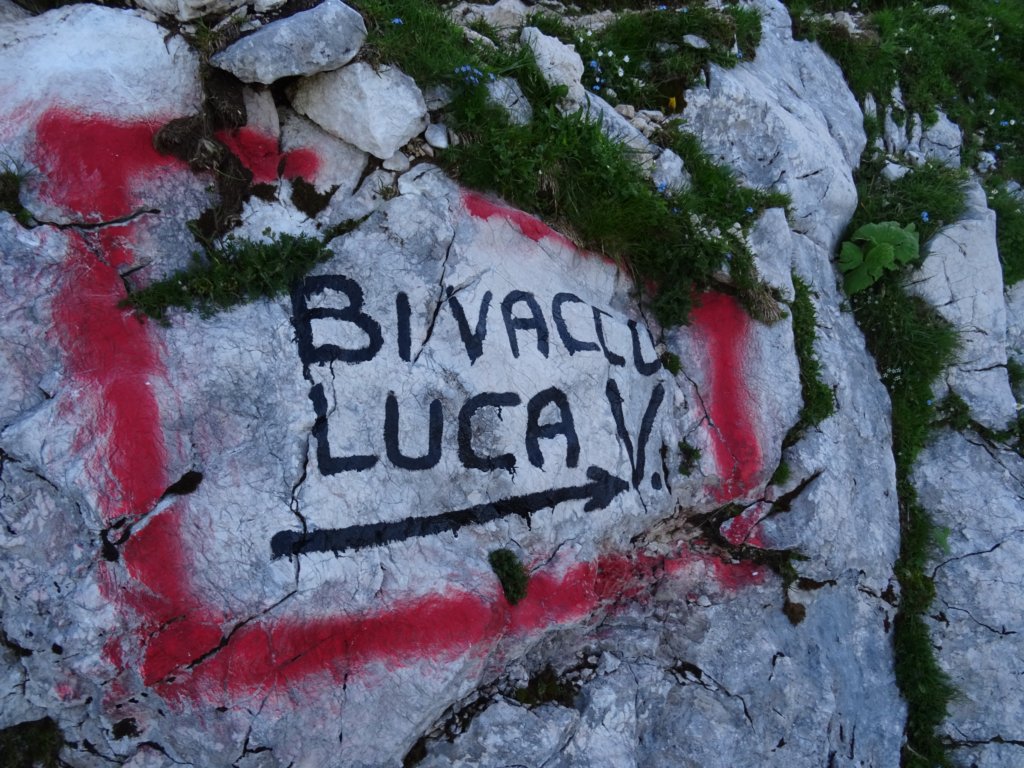piknadnosom16.jpg