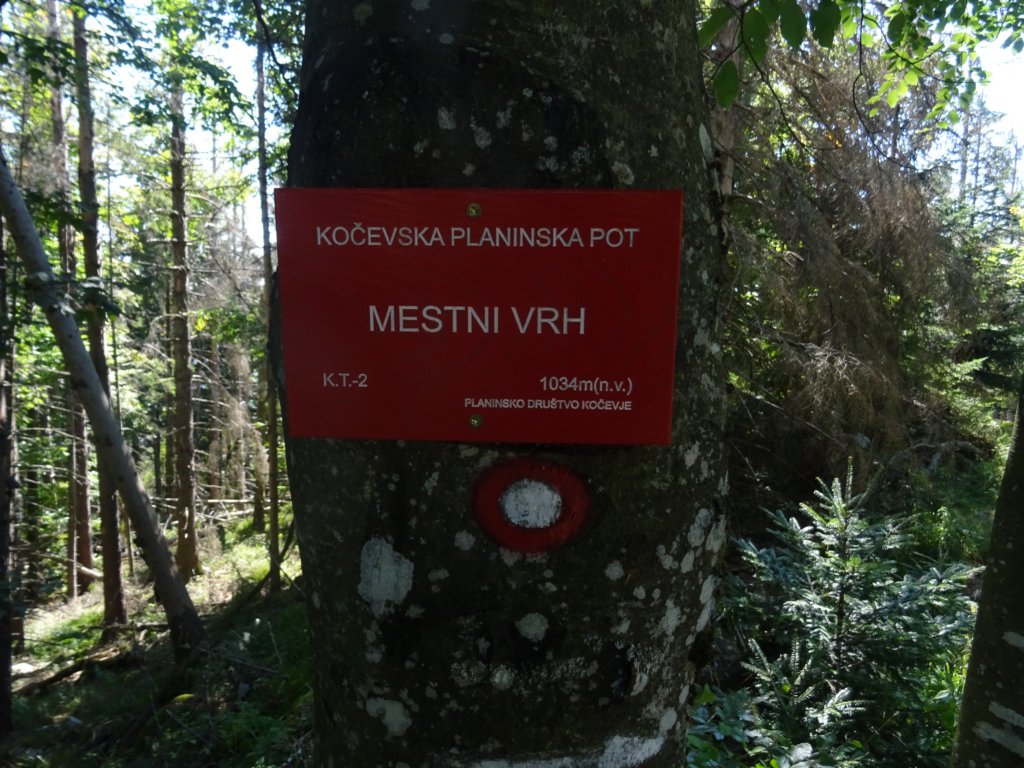 pogorjestojne63.jpg