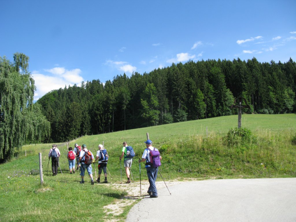 pohorje4.jpg